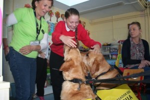 The Irish Guide Dogs visited the ASD unit.